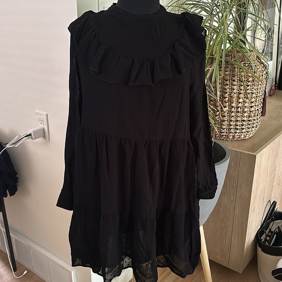 Zara Sheer Shift Dress with Ruffles and Zip-back XL with liner - Picture 4 of 9